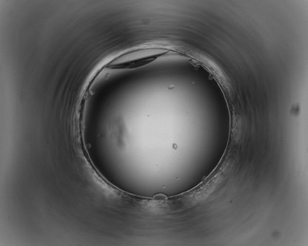 X0000100190808200805301246