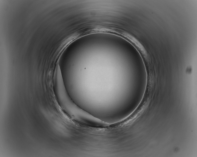 X0000100190809200805301246
