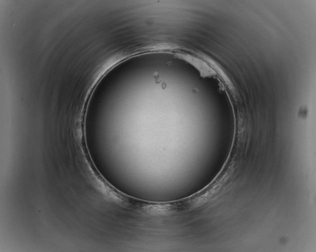 X0000100190810200805301246