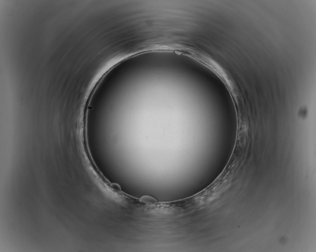 X0000100190811200805301246