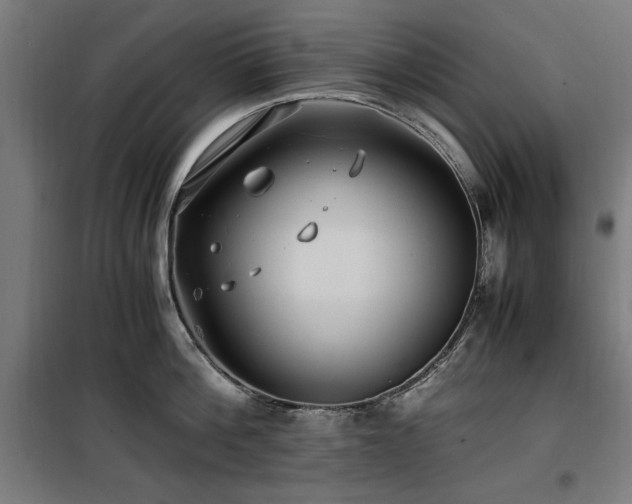 X0000100190812200805301246