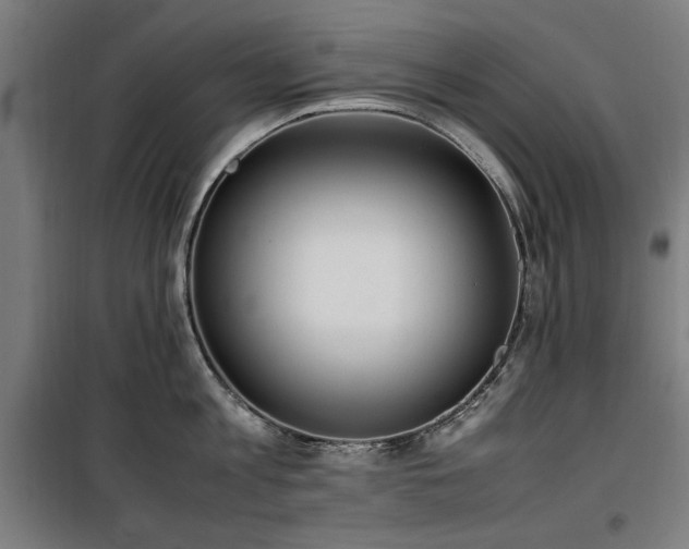 X0000100190813200805301246