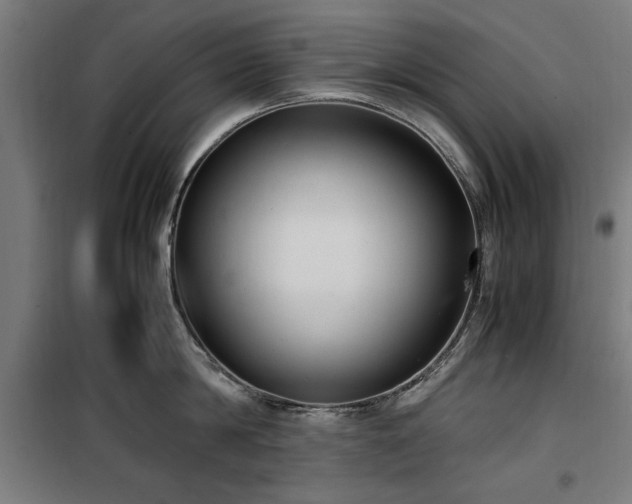 X0000100190814200805301246
