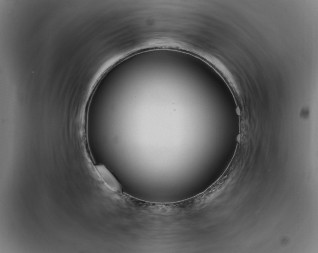 X0000100190815200805301246