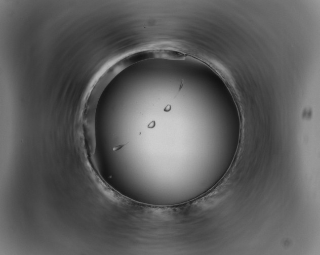 X0000100190816200805301246
