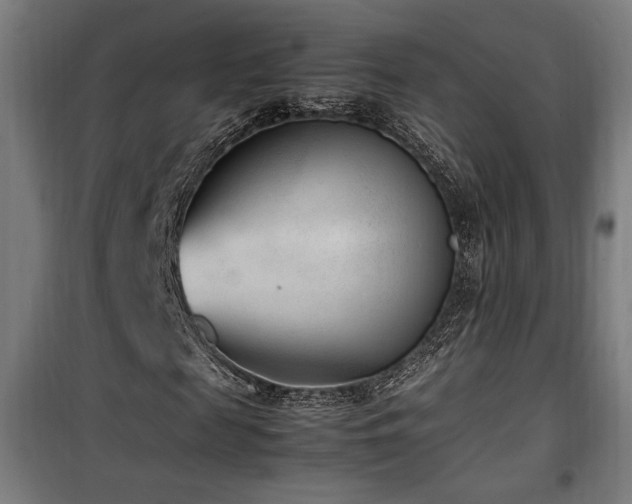X0000100190817200805301245