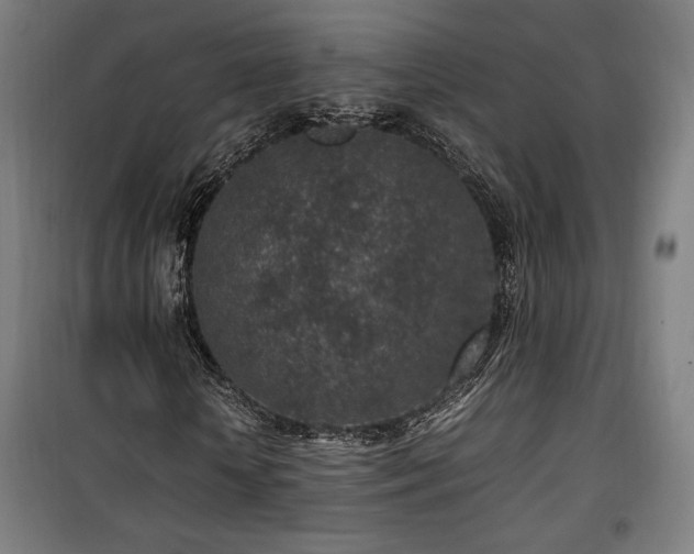 X0000100190818200805301245
