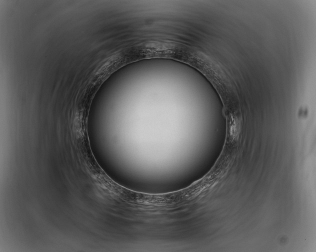X0000100190819200805301245