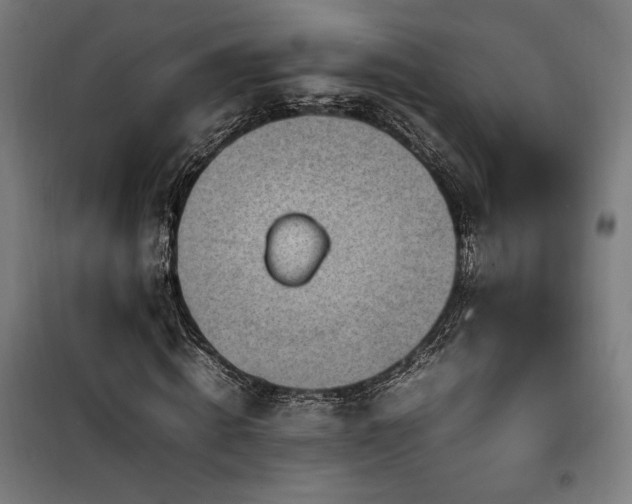 X0000100190820200805301245