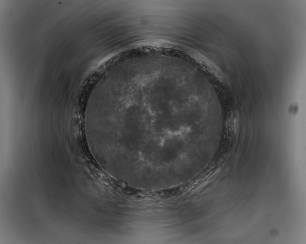 X0000100190822200805301245
