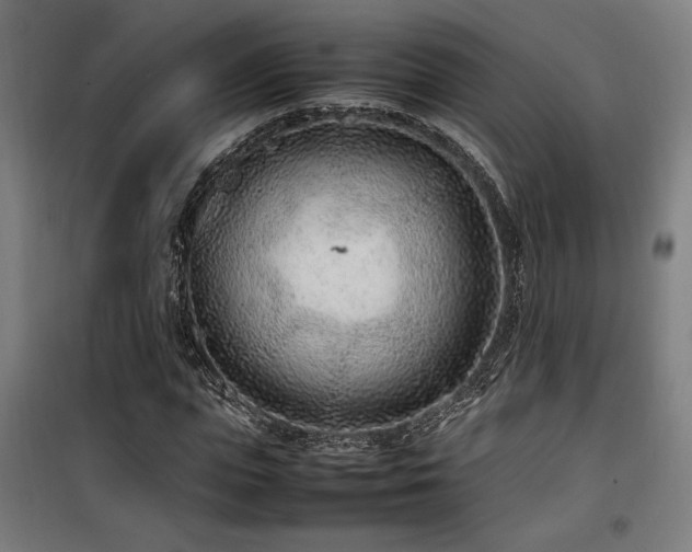 X0000100190823200805301245