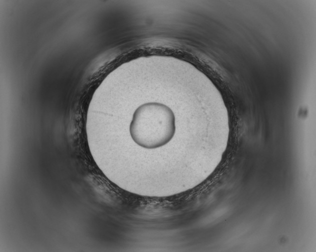 X0000100190824200805301245