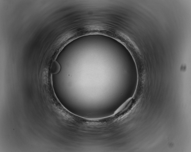 X0000100190825200805301245