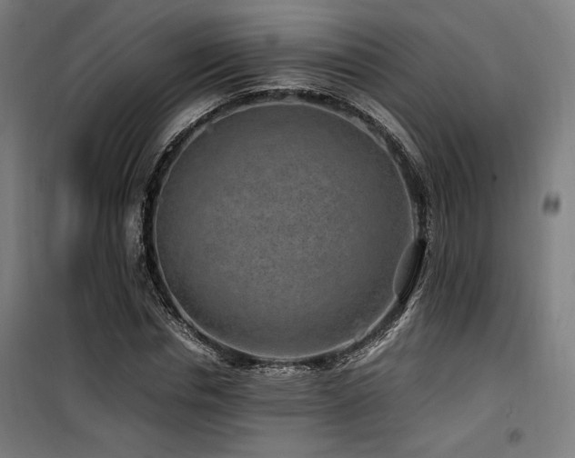 X0000100190826200805301245