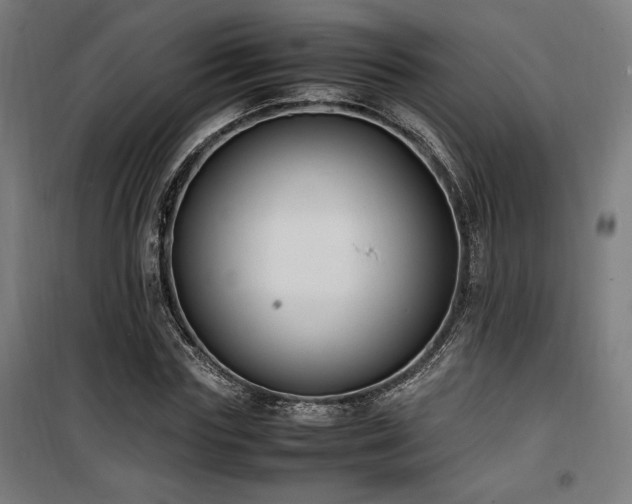 X0000100190827200805301245