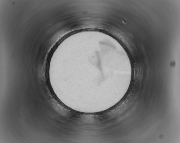 X0000100190828200805301245