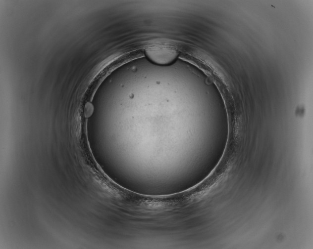X0000100190829200805301245