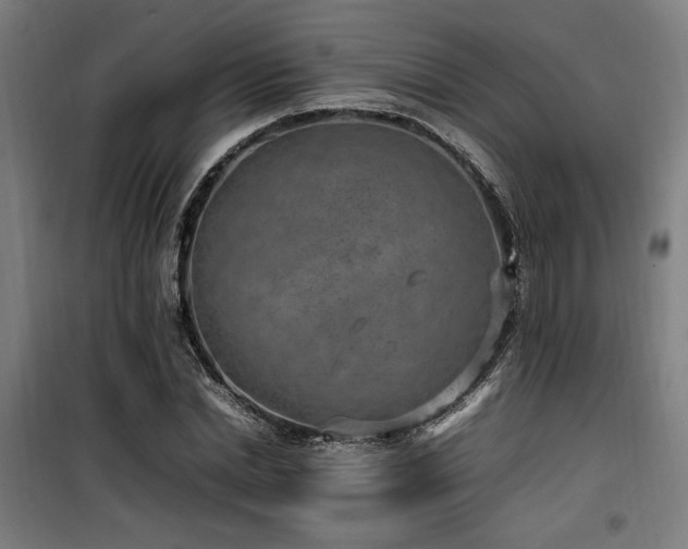 X0000100190830200805301245