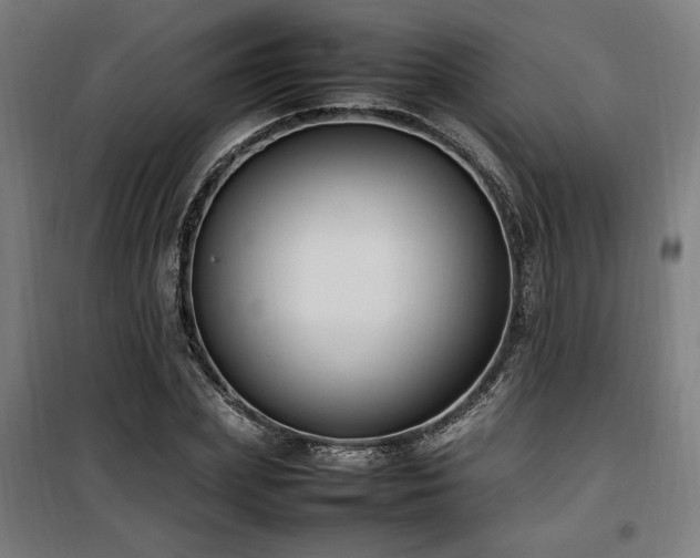 X0000100190831200805301245