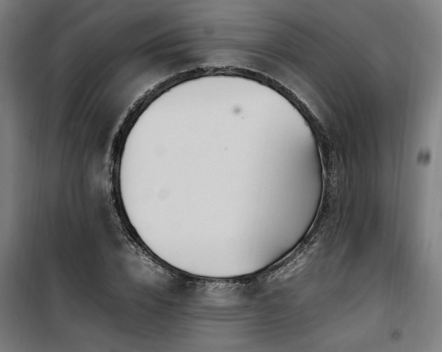 X0000100190832200805301245