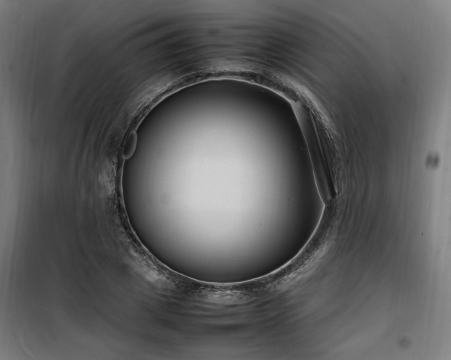 X0000100190833200805301245