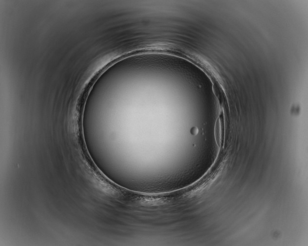 X0000100190835200805301245