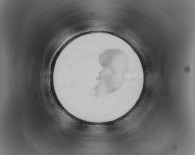X0000100190836200805301245