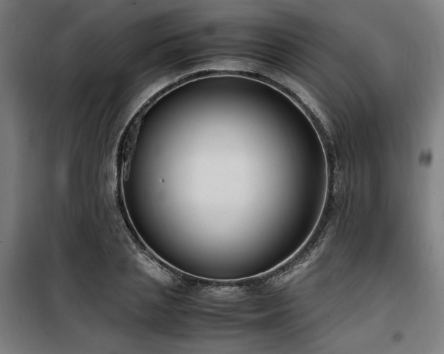 X0000100190837200805301245