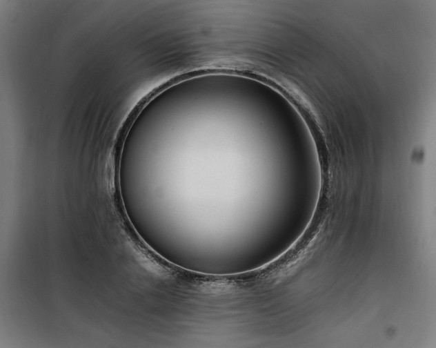 X0000100190838200805301245