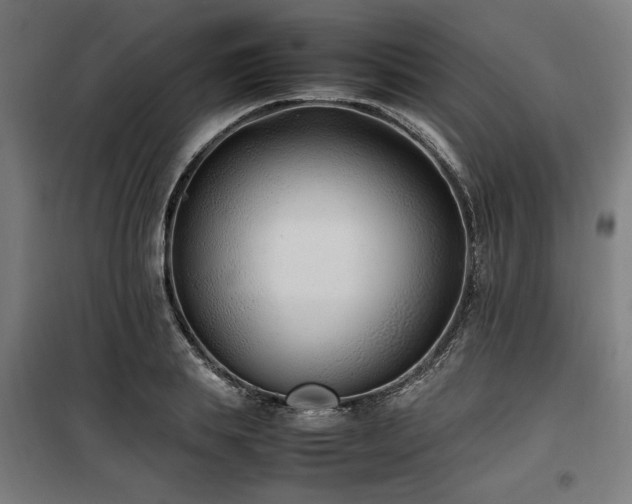 X0000100190839200805301245