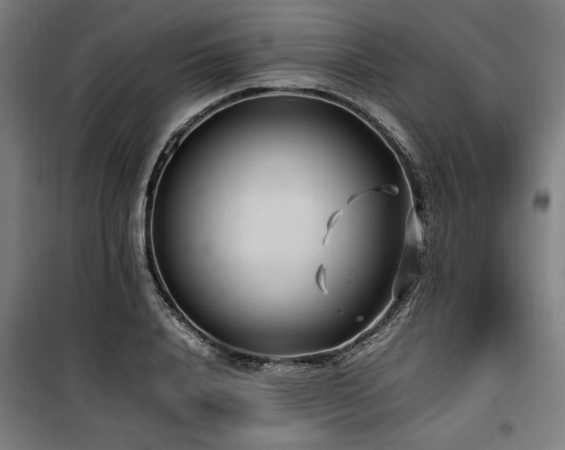 X0000100190840200805301245