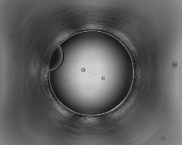 X0000100190841200805301245