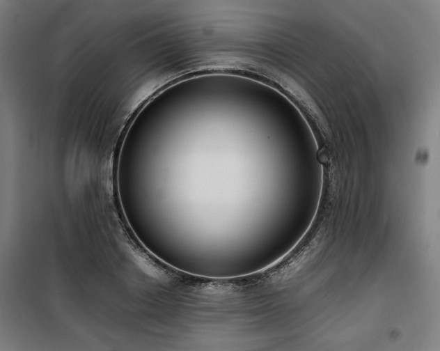 X0000100190842200805301245