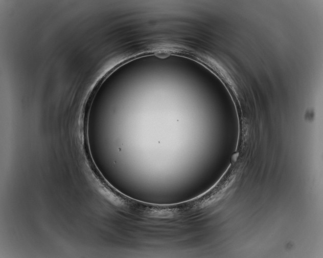 X0000100190843200805301245