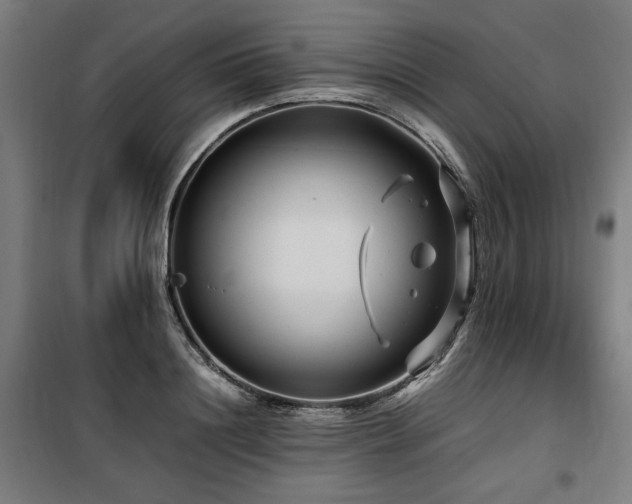 X0000100190844200805301245