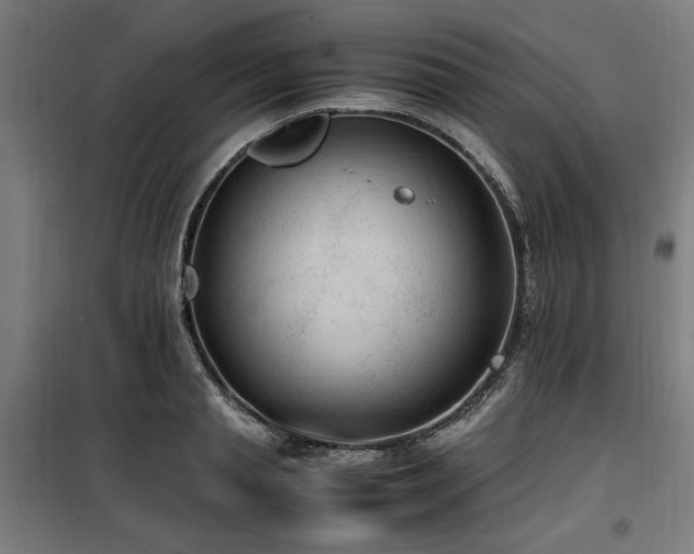 X0000100190845200805301245