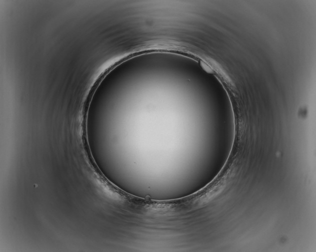 X0000100190846200805301245