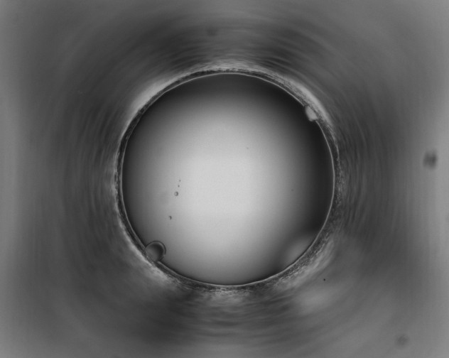 X0000100190847200805301245