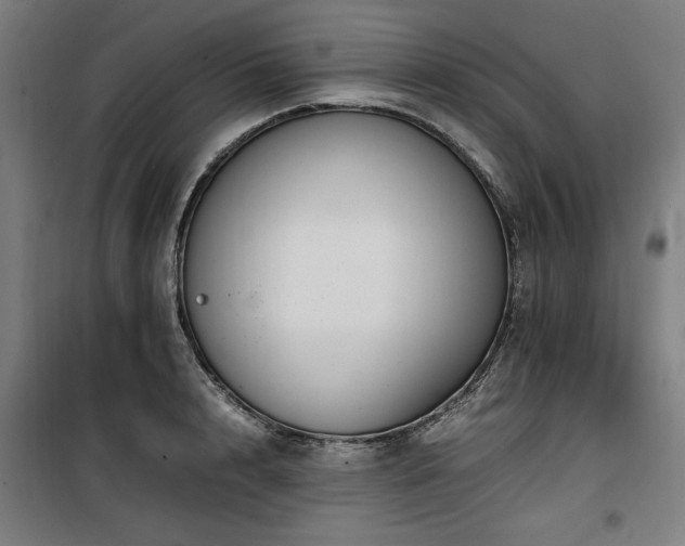 X0000100190848200805301245