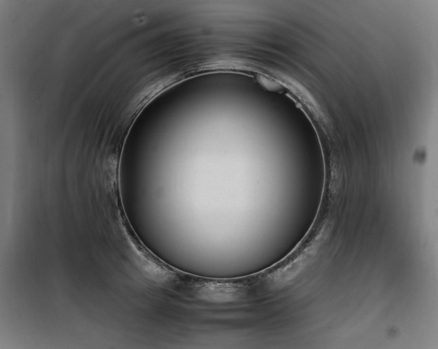 X0000100190849200805301245