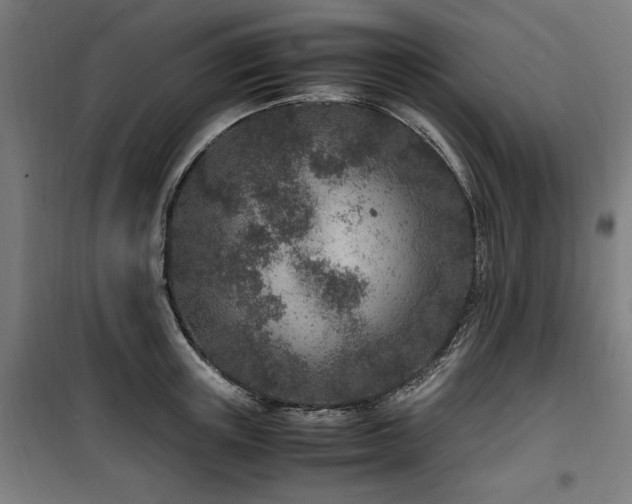 X0000100190851200805301245