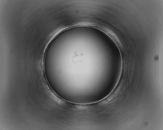 X0000100190852200805301245