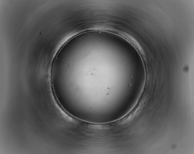 X0000100190855200805301246