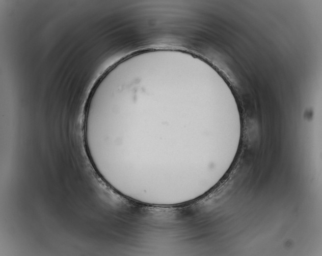 X0000100190856200805301246