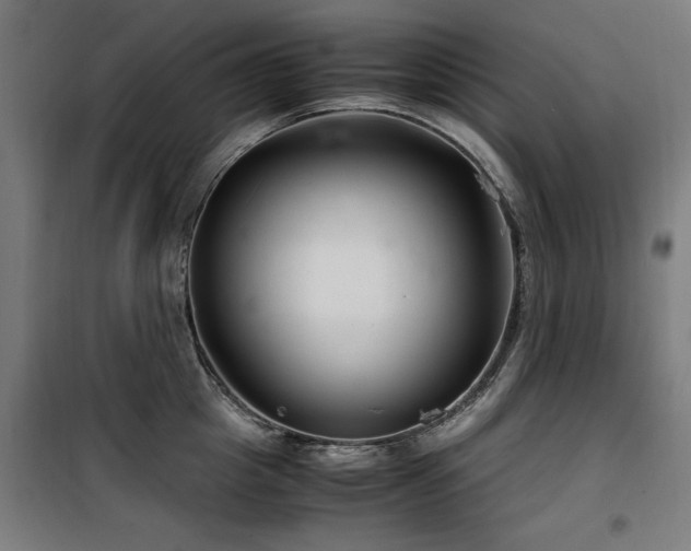 X0000100190857200805301246