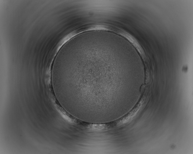 X0000100190858200805301246