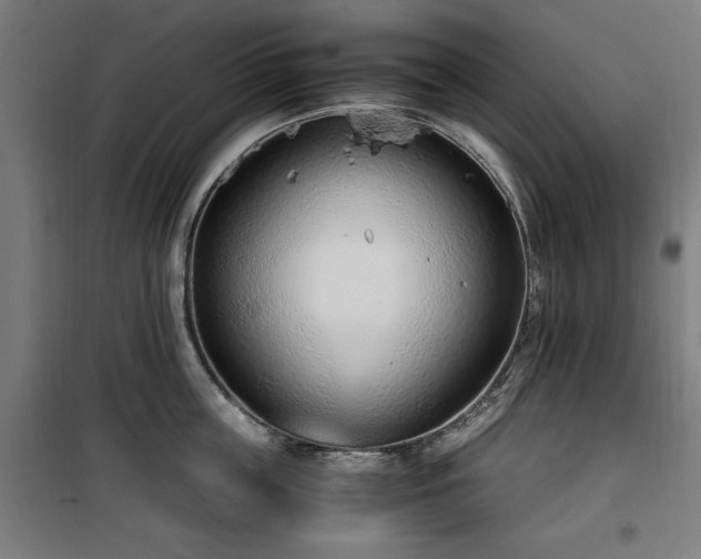 X0000100190859200805301246