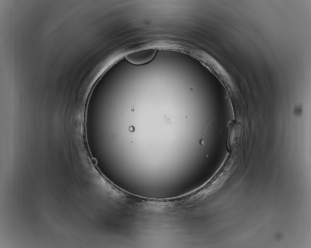 X0000100190860200805301246