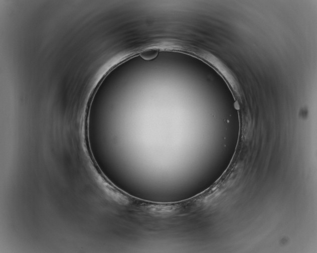 X0000100190861200805301246