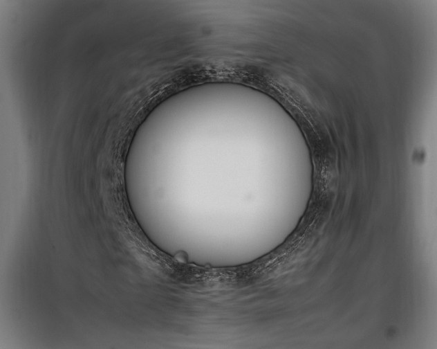 X0000100190865200805301245